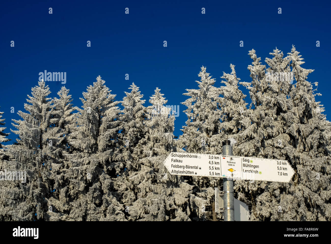 snow covered winter landscape with sign in feldberg in southern germany Stock Photo