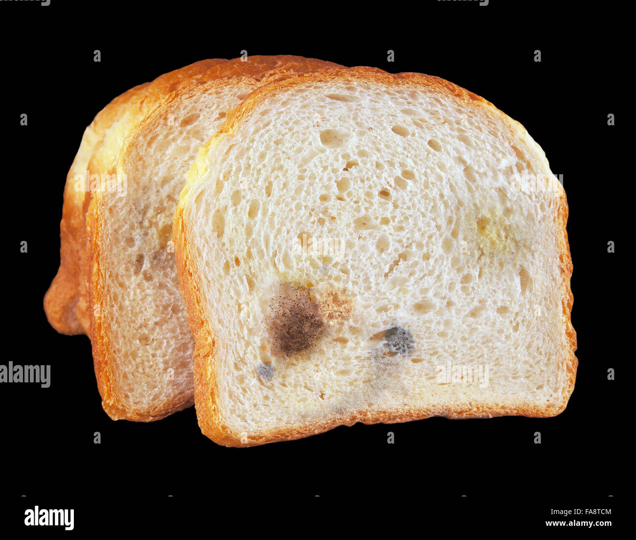 Crust and crumb of bread, covered with mold on the black background