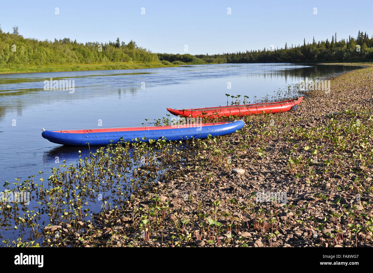 Taiga river Paga, Russia, the Polar Urals.  Inflatable kayaks on the shore of the river. Stock Photo