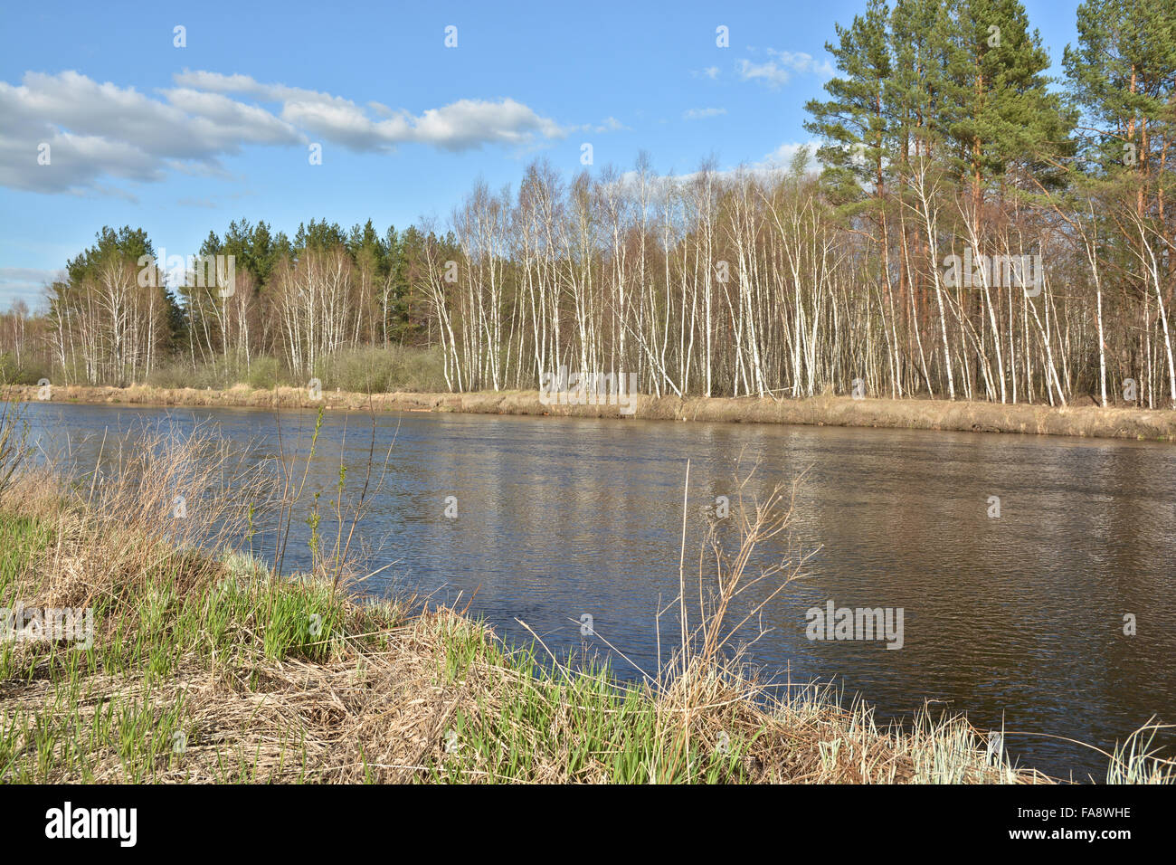 Spring landscape, river in the national Park 'Meschera', Ryazan oblast, Russia. Stock Photo