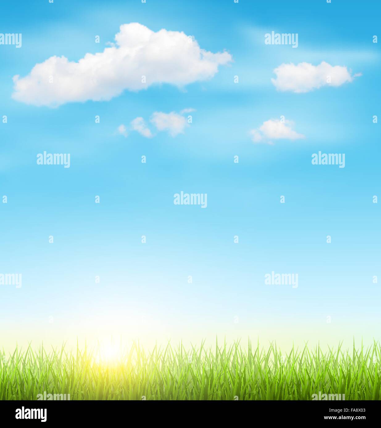 Green Grass Lawn with Clouds and Sun on Blue Sky Stock Vector Image ...
