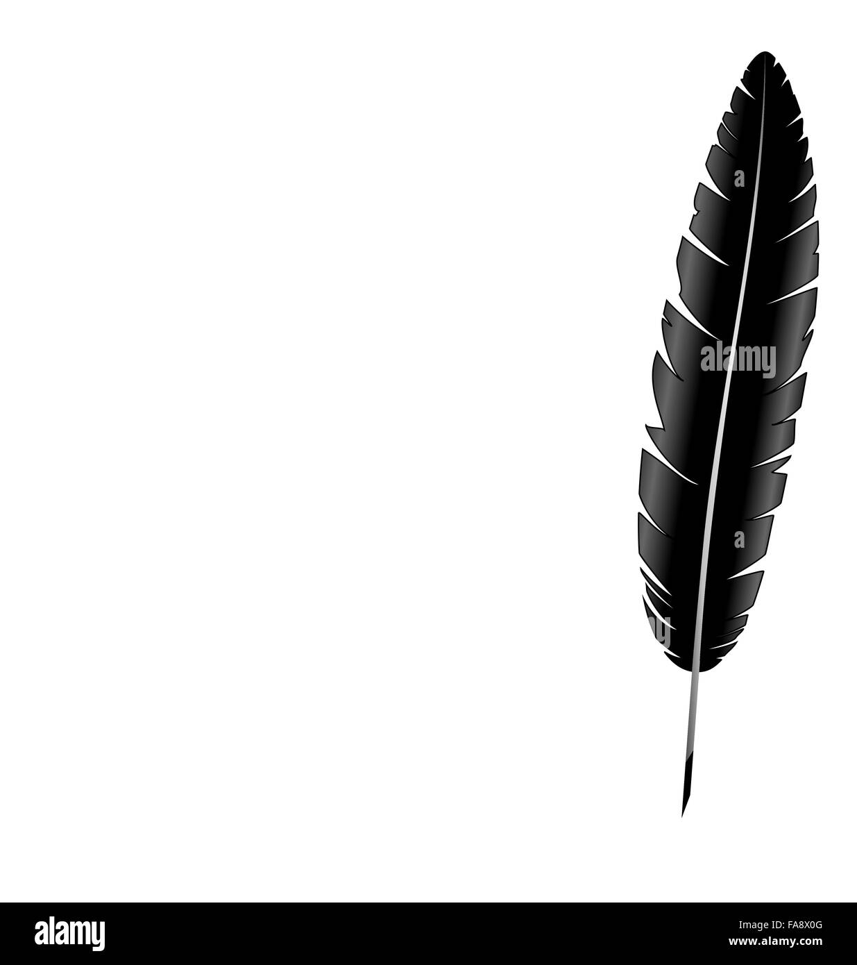feather isolated on white Stock Vector Image & Art - Alamy