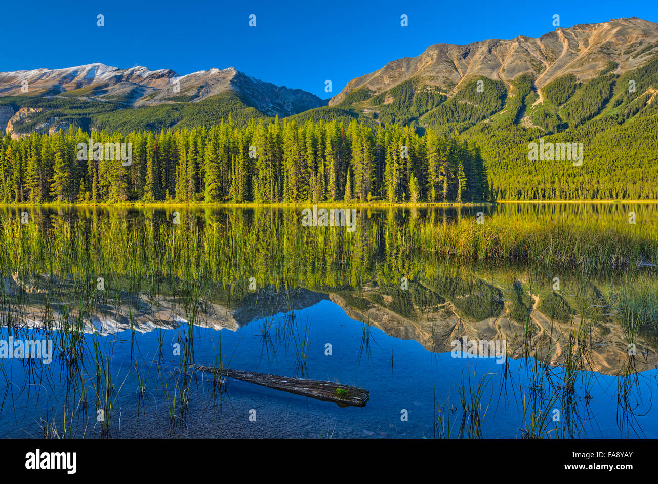 Homes For Sale In Buck Lake Alberta at Mary Leary blog