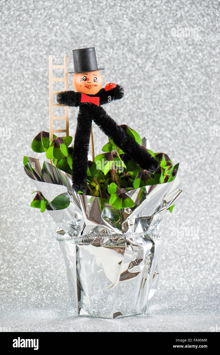 Lucky charm chimney sweep with shamrock. New Years symbols of luck clover and ladybug Stock Photo