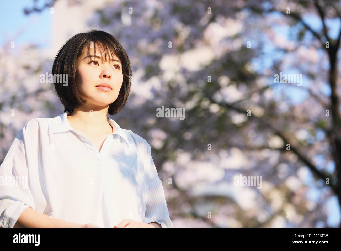 Young Japanese woman enjoying cherry blossoms blooming in Tokyo Stock Photo