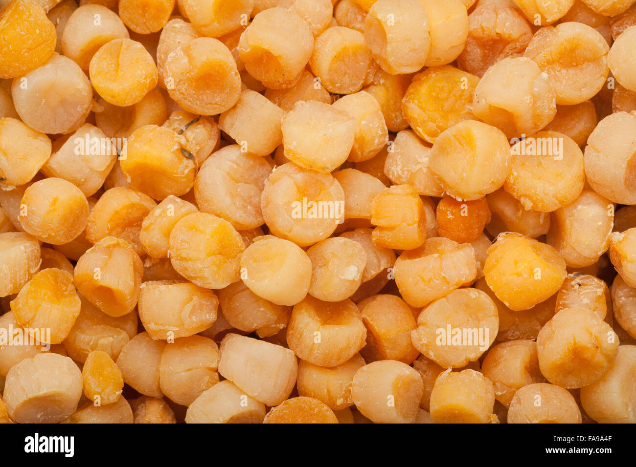 Closeup of lots of dried scallops Stock Photo