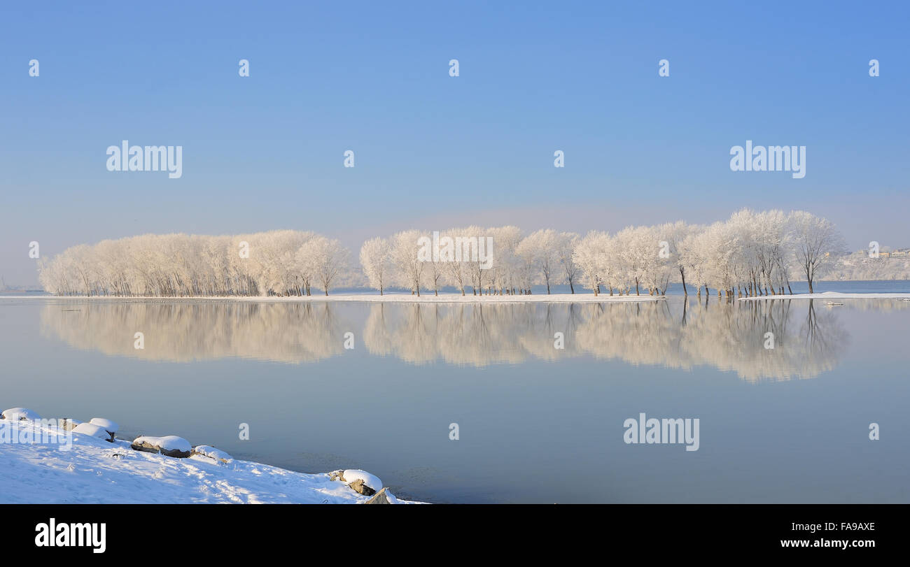 Winter trees covered with frost on Danube river Stock Photo