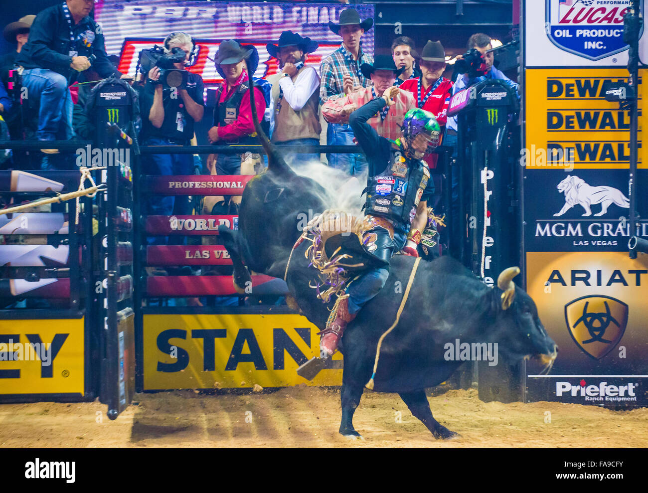 Cowboy Participating in the PBR bull riding world finals. The bull
