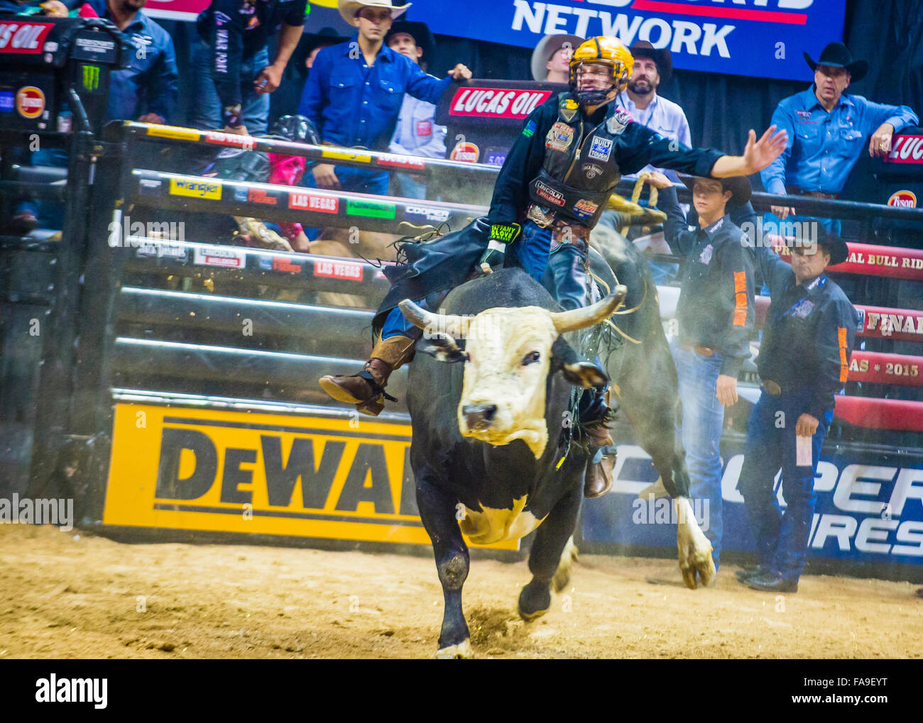 Cowboy Participating in the PBR bull riding world finals. The bull ...
