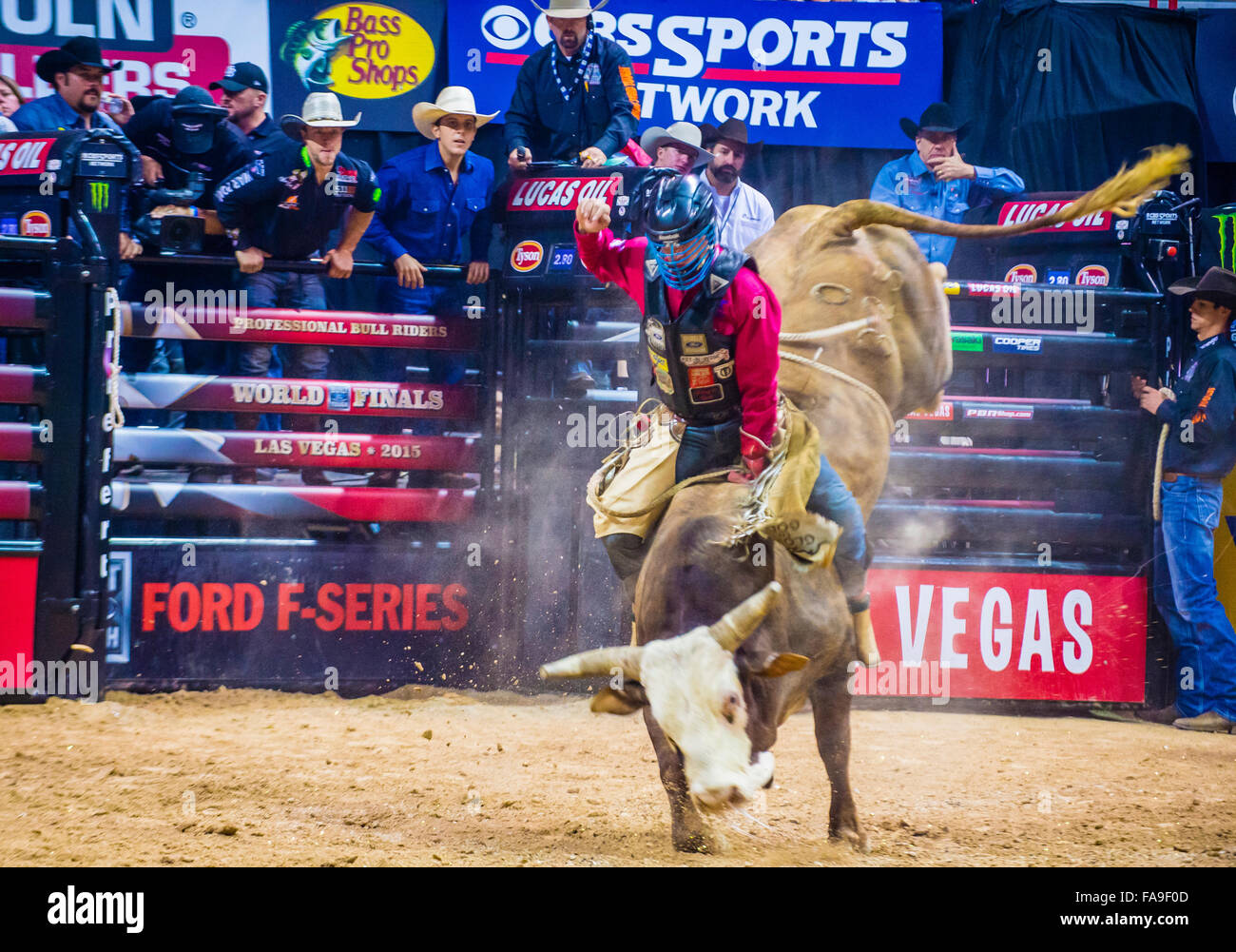Cowboy Participating in the PBR bull riding world finals. The bull