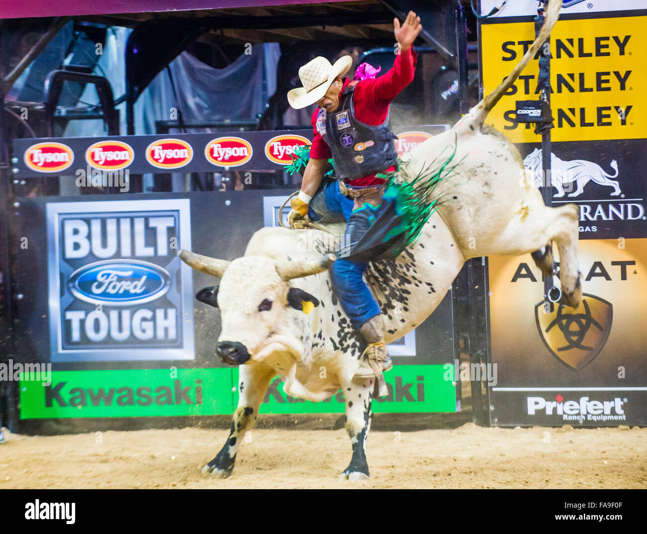 Cowboy Participating in the PBR bull riding world finals. The bull