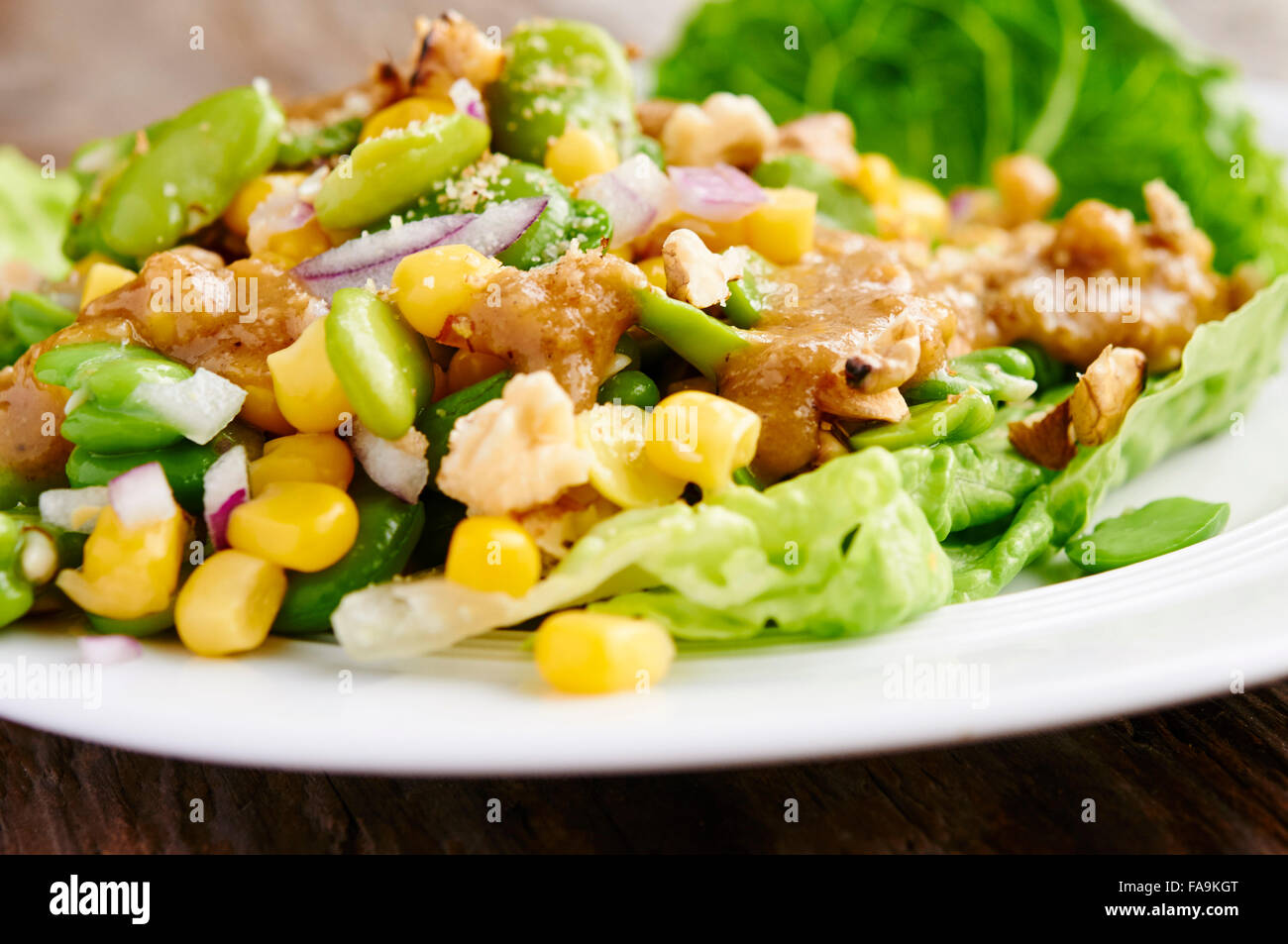 Corn and Fava Bean Salad with a Walnut-Miso Dressing Stock Photo