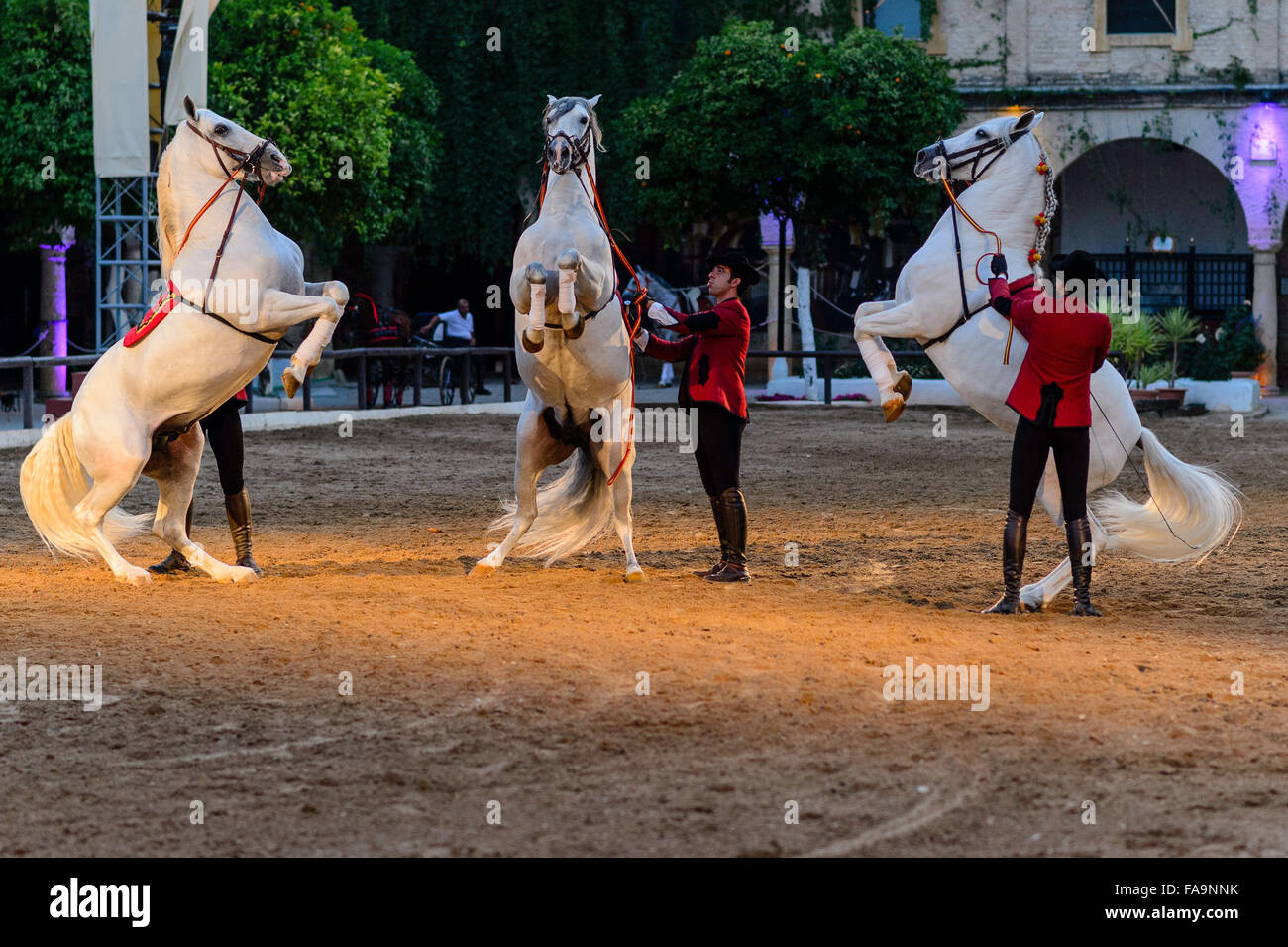 Spirit the stallion hi-res stock photography and images - Alamy