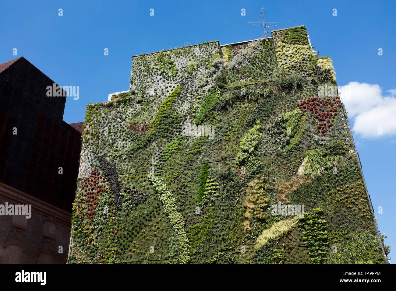 Green wall madrid hires stock photography and images Alamy