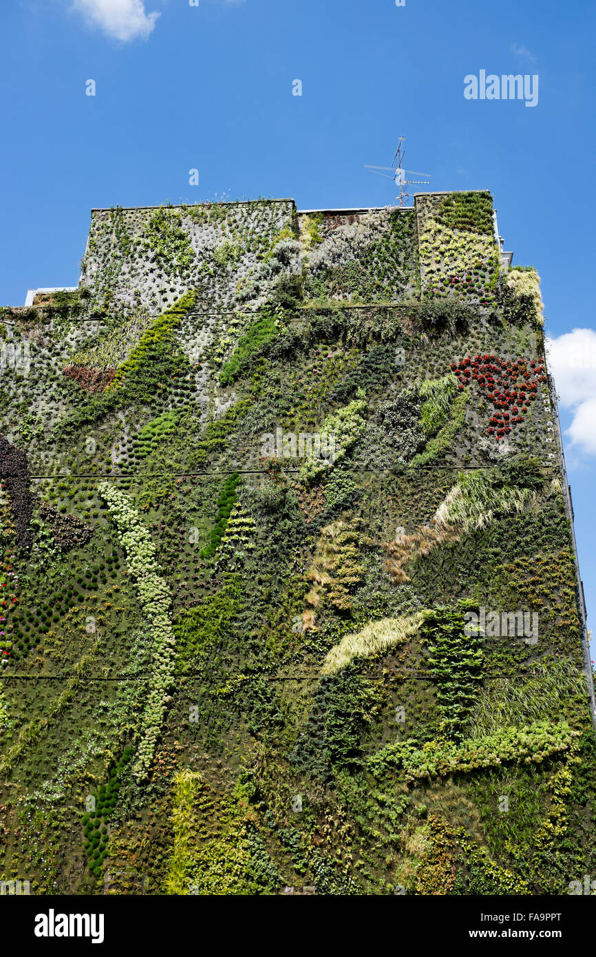 Living Garden Wall outside Caixa Forum Madrid Spain Stock Photo