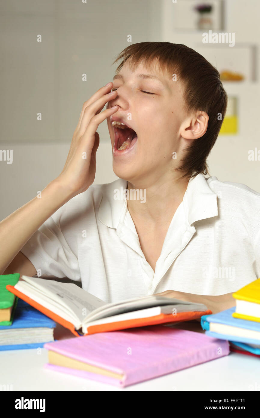 Schoolboy doing homework Stock Photo