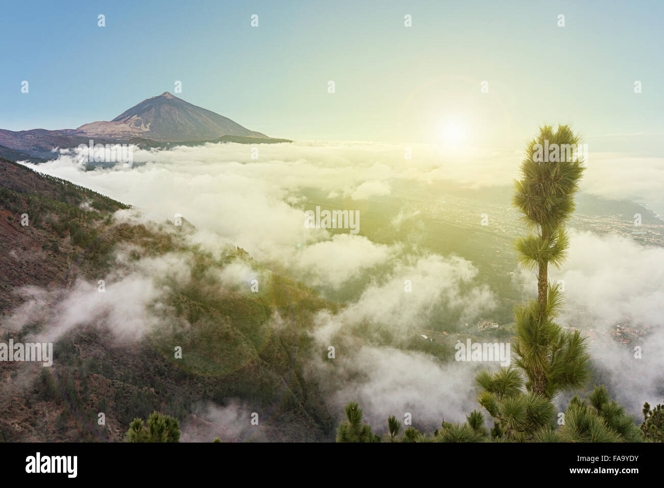 pico de teide, mountain summit above the clouds, Tenerife, Spain Stock Photo