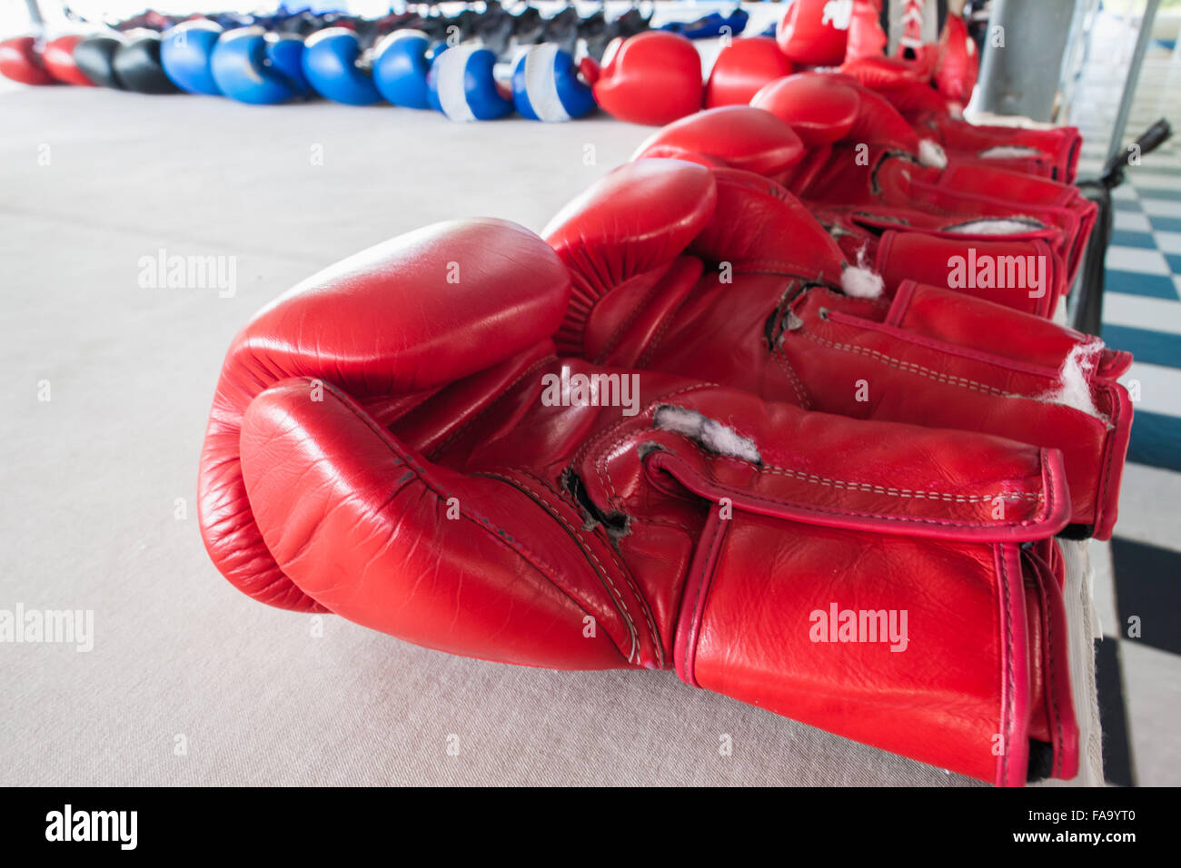 Pairs of red and blue boxing gloves Stock Photo Alamy
