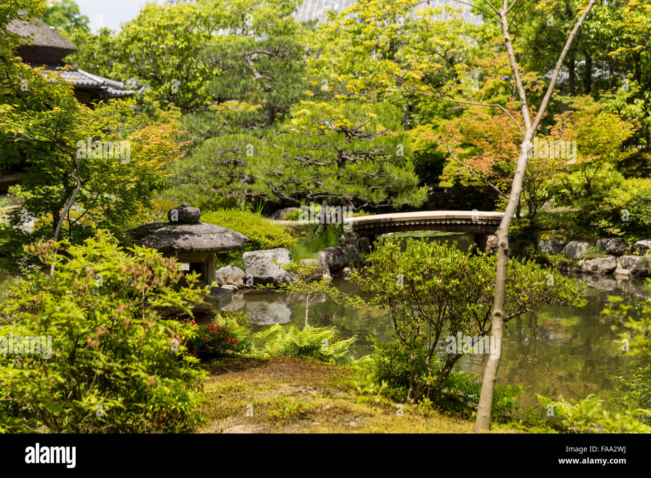 Isuien's pond and back garden, Nara, Nara Prefecture, Kansai region of Japan. Stock Photo