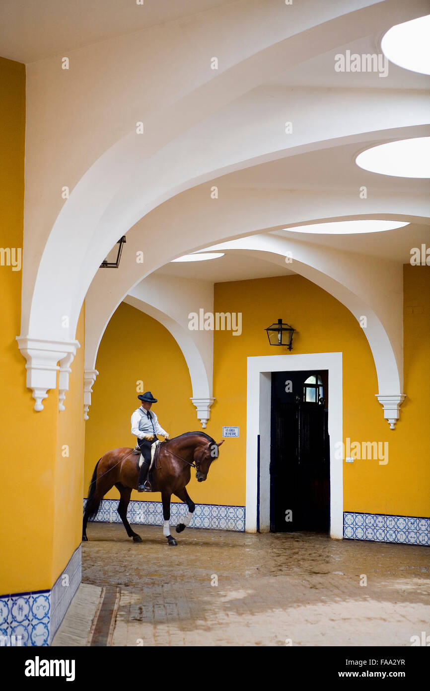 Rider of Royal Andalusian School of Equestrian Art. `Real Escuela ...