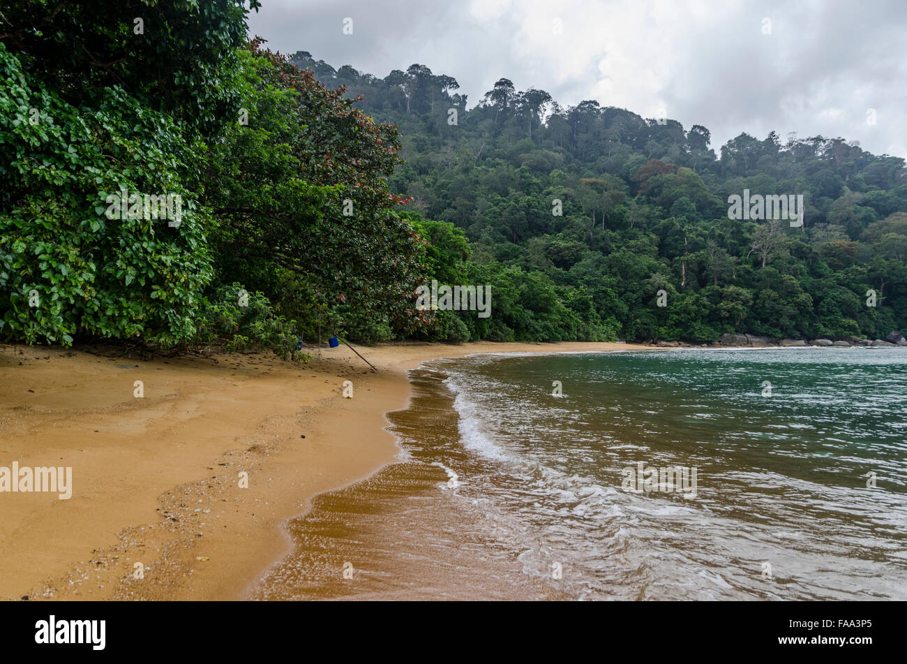 Beach in Tioman Island in Malaysia Stock Photo