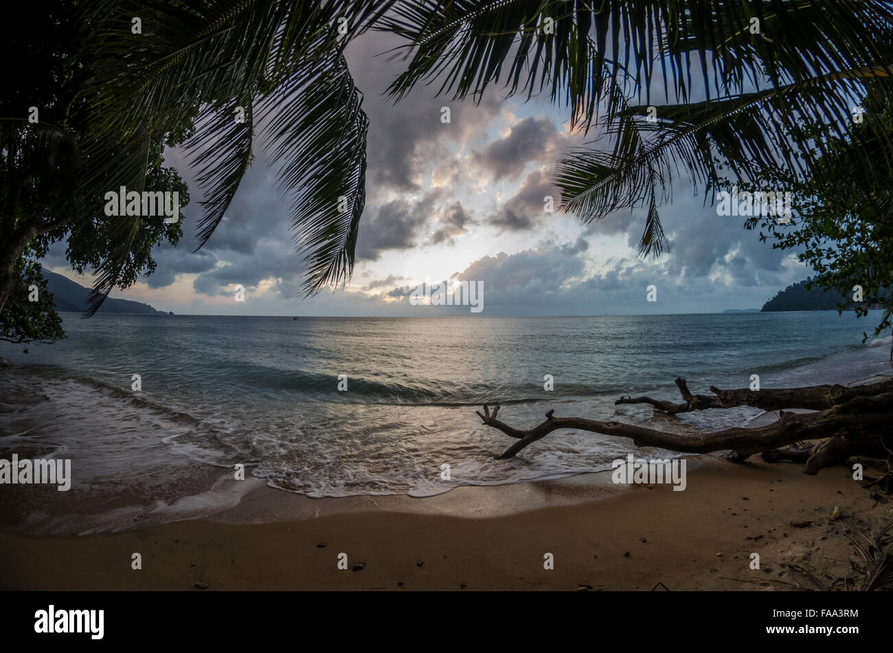 Beach in Tioman Island in Malaysia Stock Photo