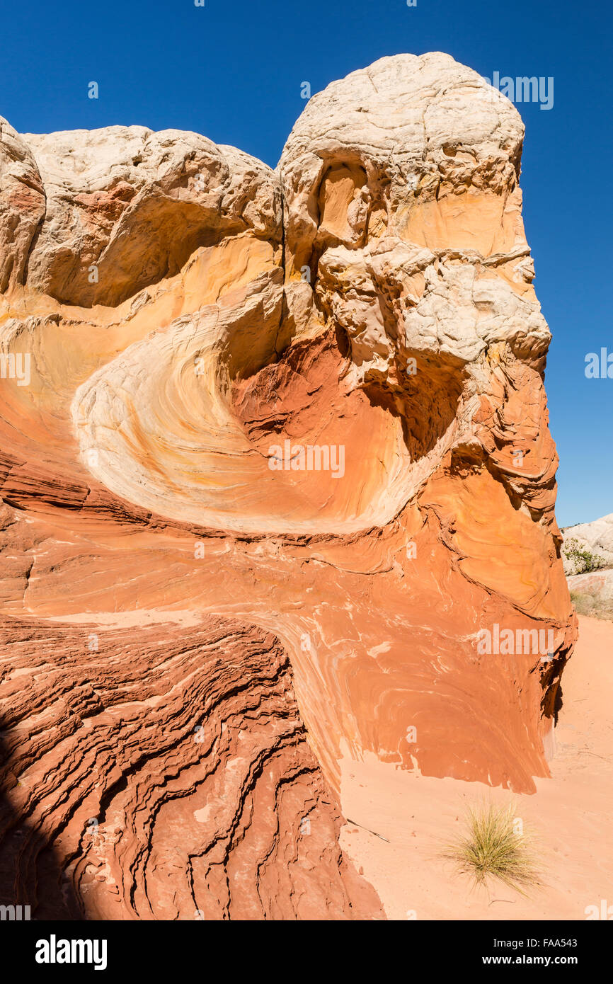 A rock formation looks like the head of Moses in the unique and remote White Pocket rock formations in Vermillion Cliffs Nationa Stock Photo