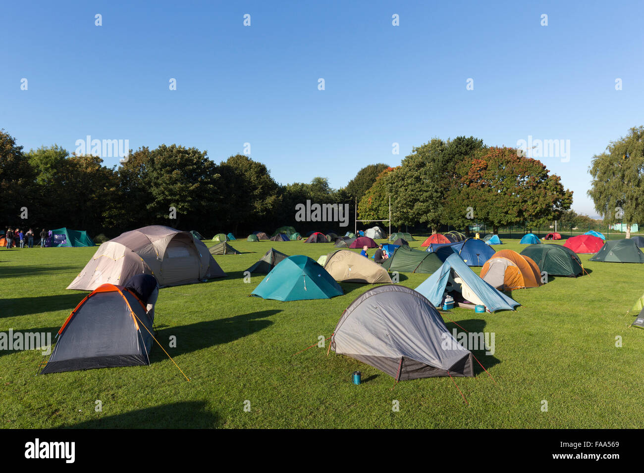 Tents in field, UK Stock Photo
