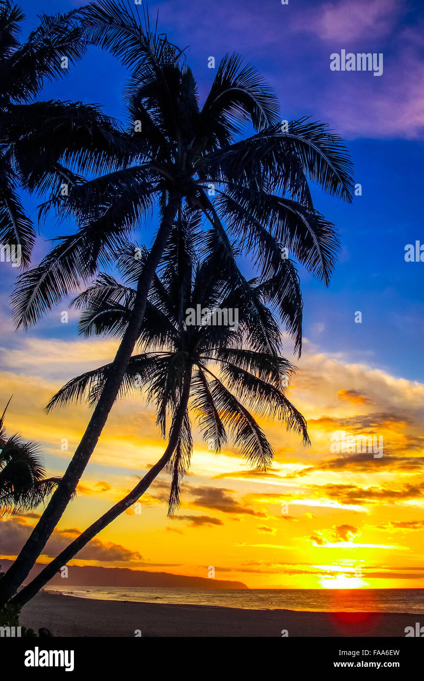Beautiful golden hour colors of Hawaii Stock Photo Alamy