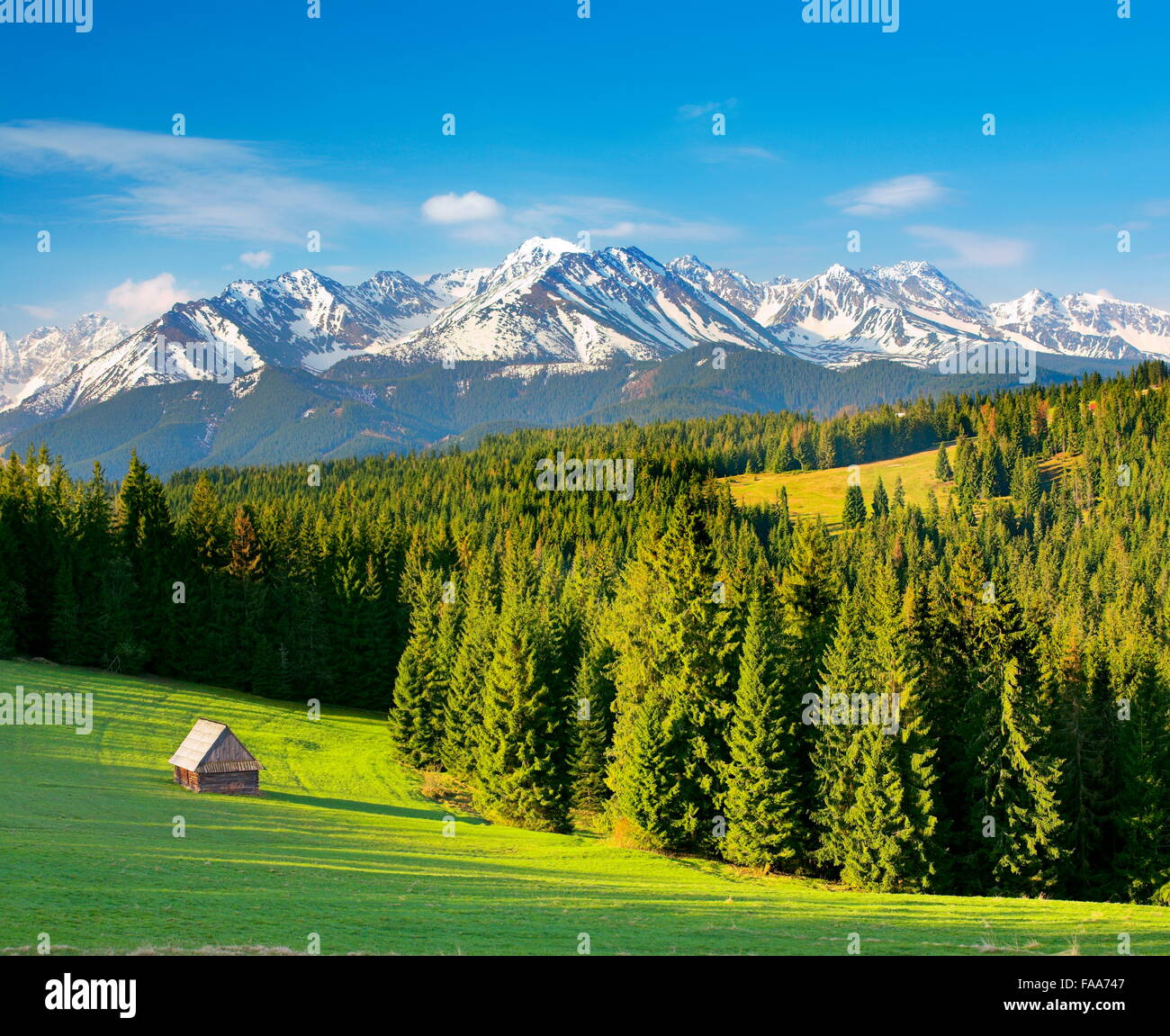 Szymkowka Glade,Tatra Mountains, Poland Stock Photo