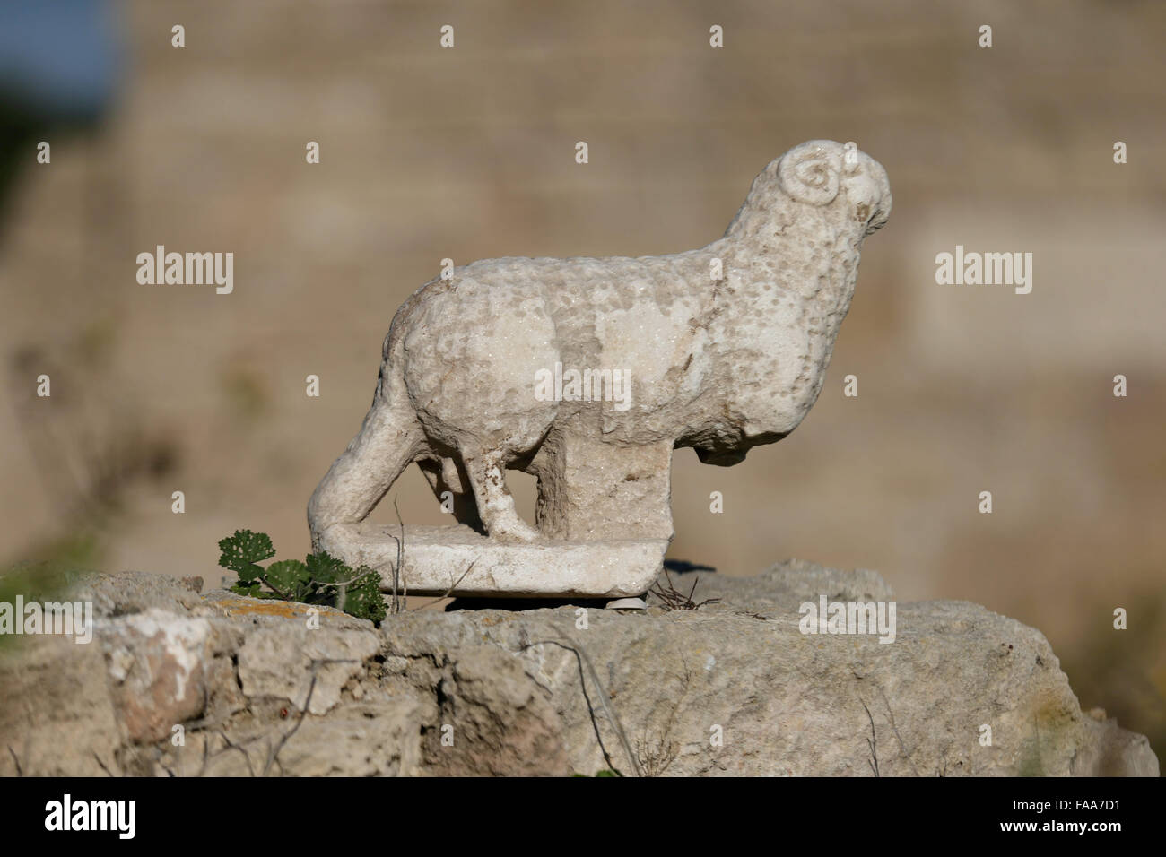 Jerusalem. 24th Dec, 2015. Photo taken on Dec. 24, 2015 shows a Byzantine-era marble sculpture of a lamb unearthed in Israel. Archaeologists on Thusday unearthed a Byzantine-era marble sculpture of a lamb near the Ancient Caesarea Church in the Caesarea National Park, in northern Israel. Experts believe that the lamb served as part of the decoration in the 6th-7th century CE church that was discovered adjacent to the ancient port. Credit:  JINIPIX/Nimrod Glikman/Xinhua/Alamy Live News Stock Photo