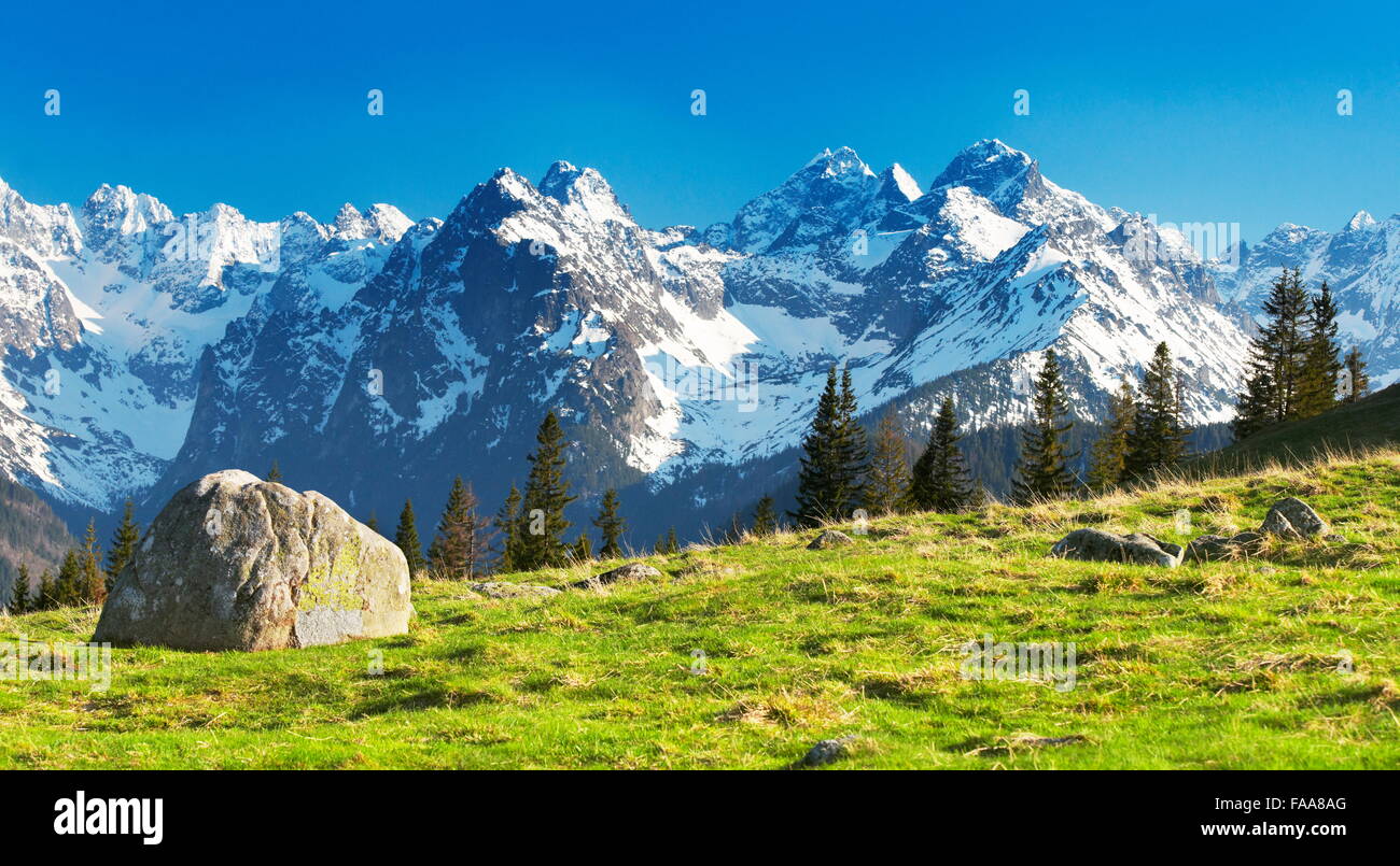 Rusinowa Glade, Tatra Mountains, Poland Stock Photo