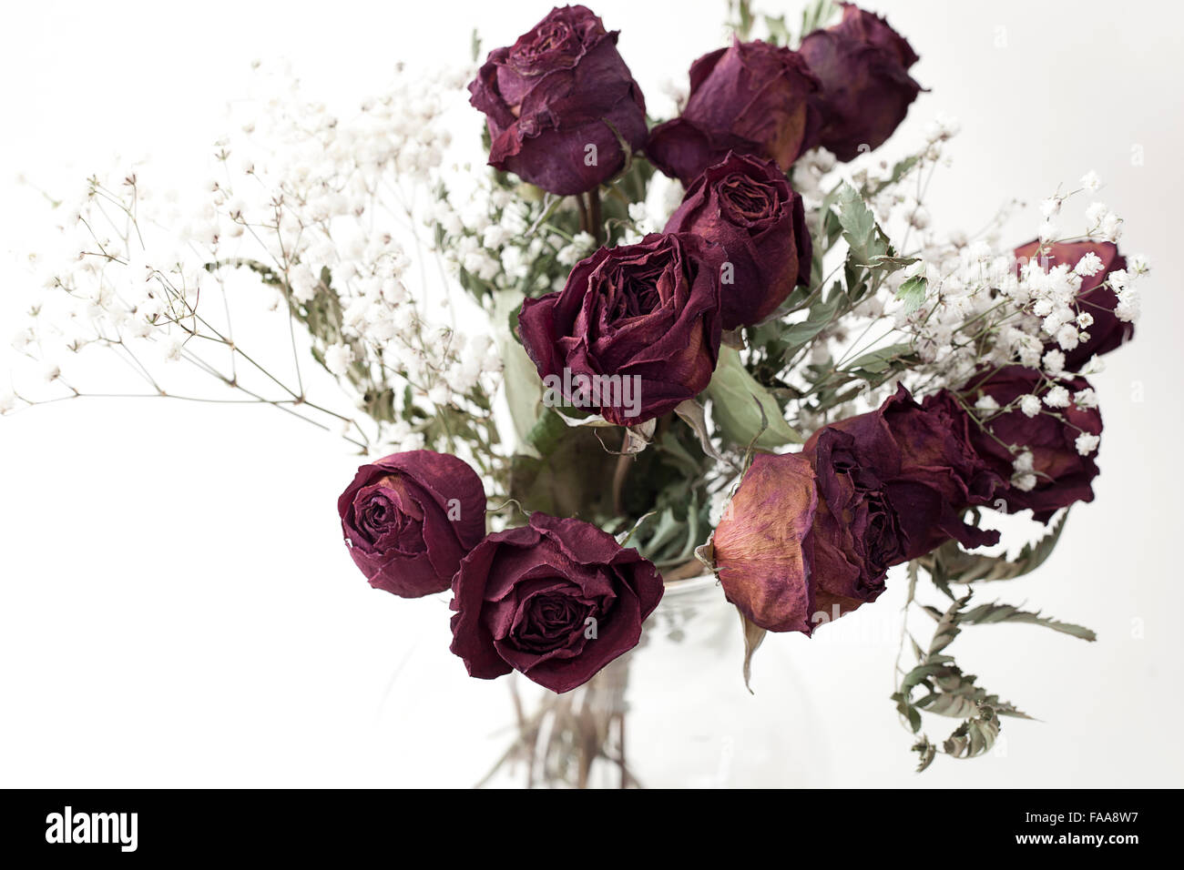 bouquet of dried wild flowers on the background of a concrete wall Stock  Photo - Alamy