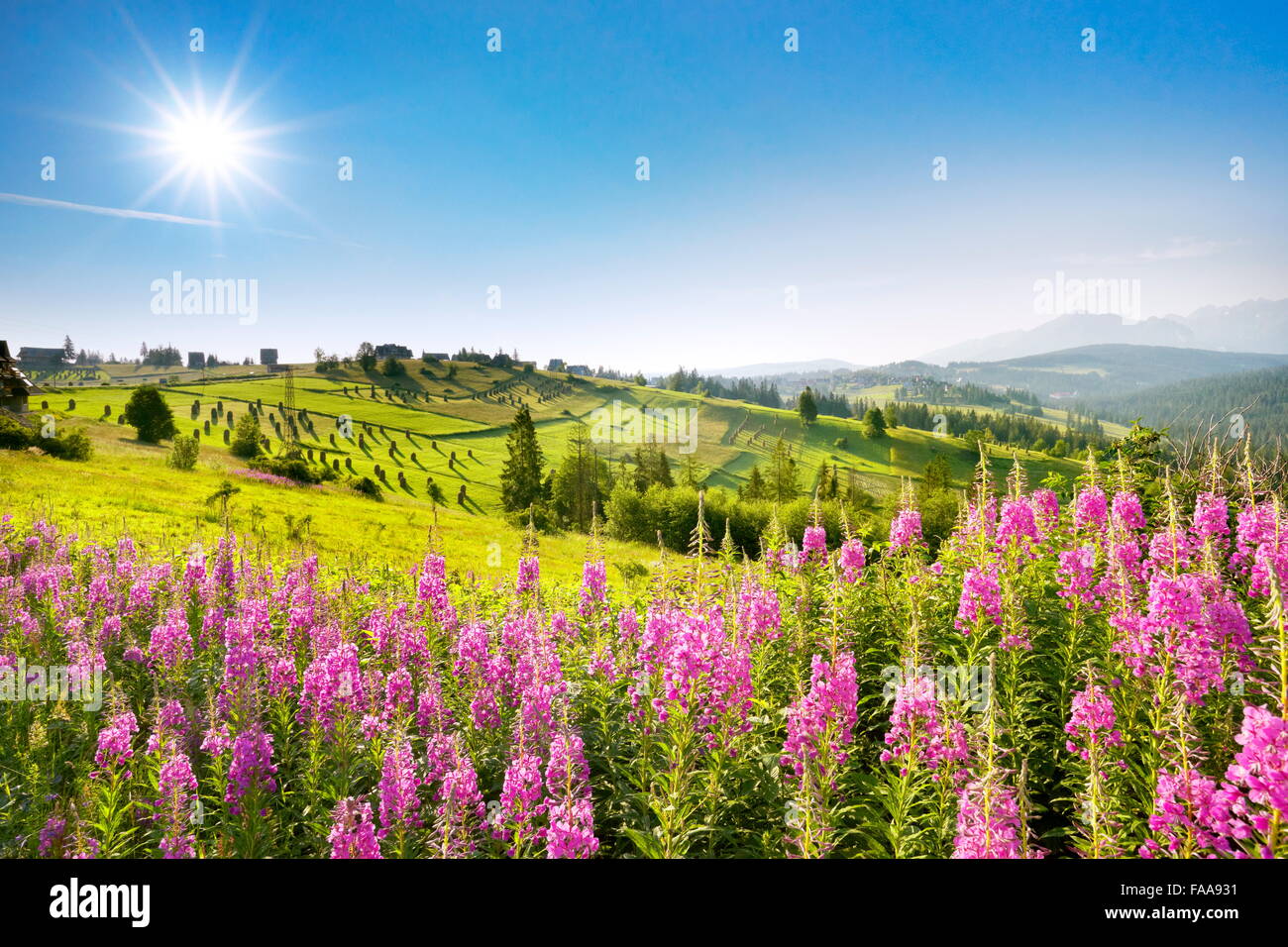 Spring landscape, Poland Stock Photo