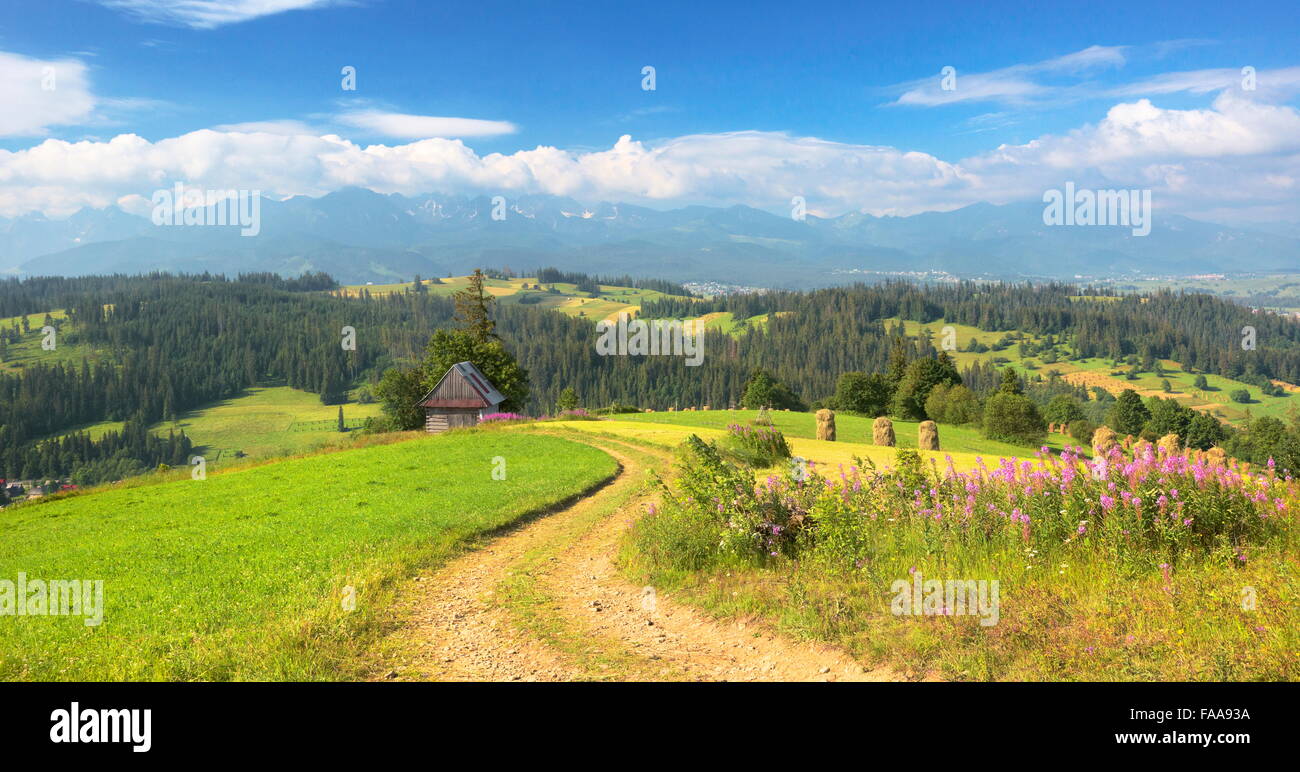 Country road, spring landscape, Podhale region, Poland Stock Photo