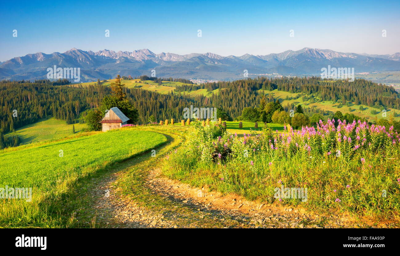 Country road, spring landscape at Podhale region, Poland Stock Photo