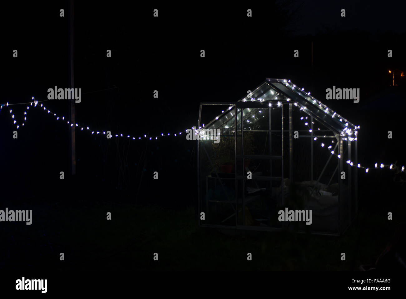 Christmas Lights in the garden surrounding a greenhouse Stock Photo Alamy