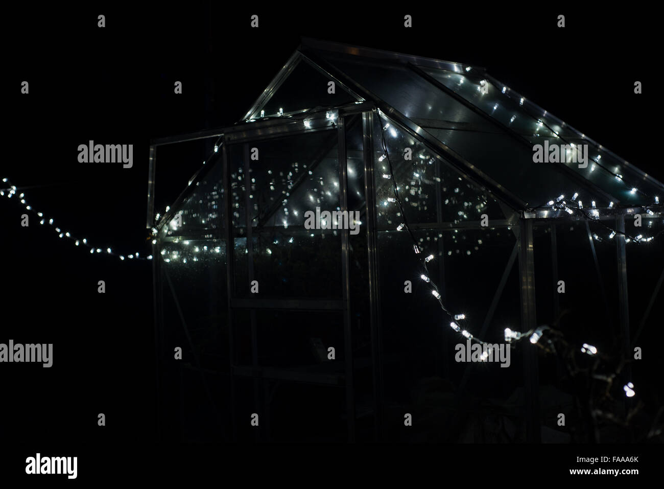 Christmas Lights in the garden surrounding a greenhouse Stock Photo Alamy