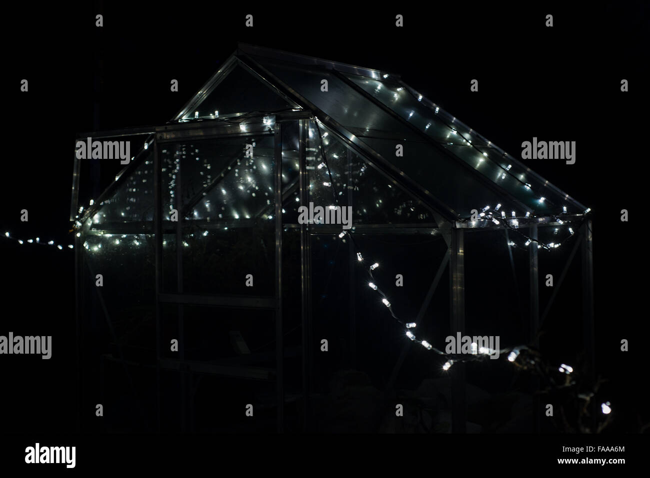 Christmas Lights in the garden surrounding a greenhouse Stock Photo Alamy