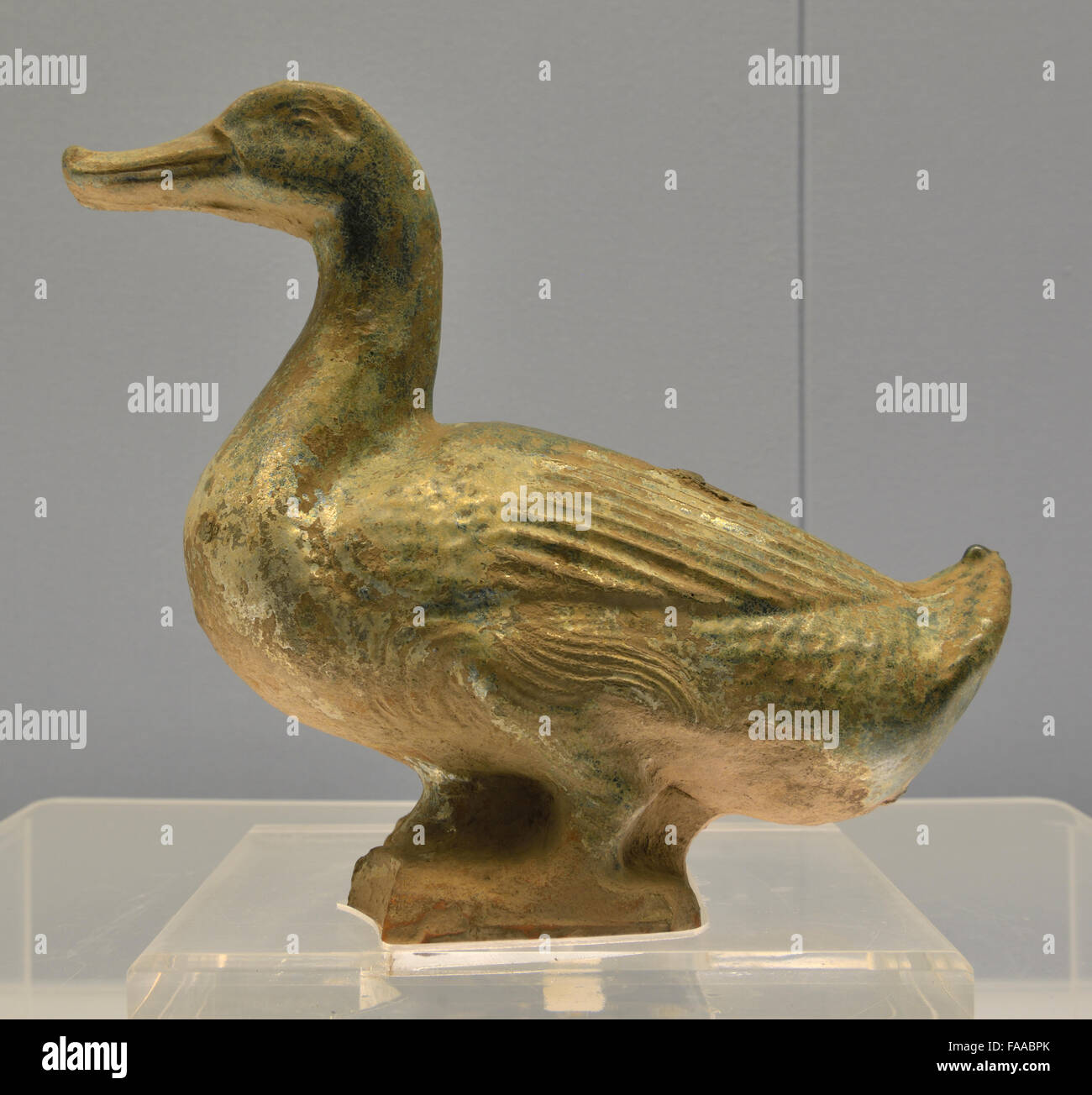 Pottery Duck With Low-Fired Green Glaze. Eastern Han, A.D.25-220 Shanghai Museum Stock Photo