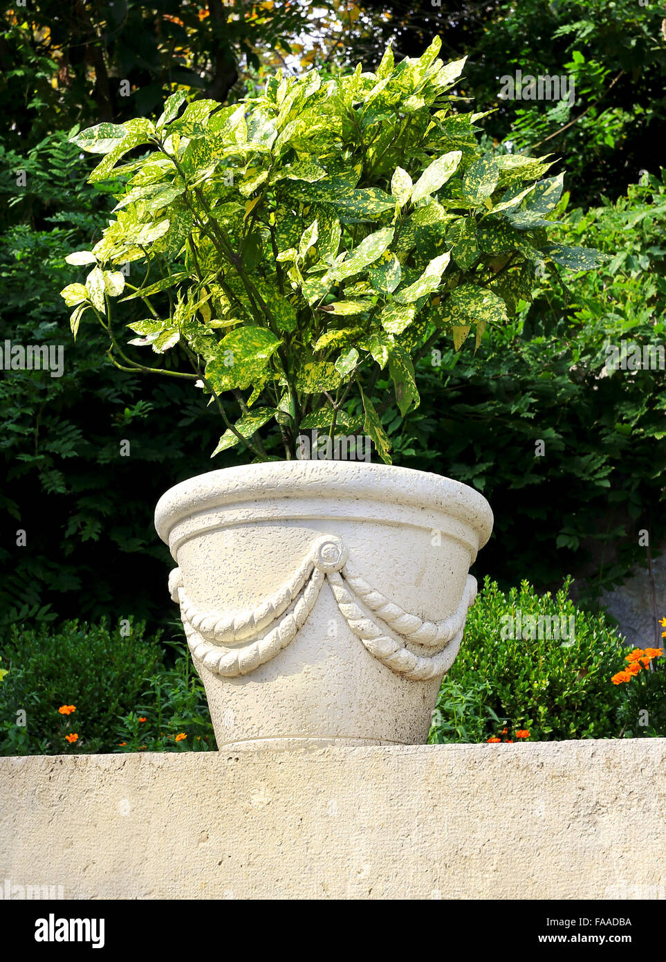 Decorative vase with leaf-shaped park plant Stock Photo