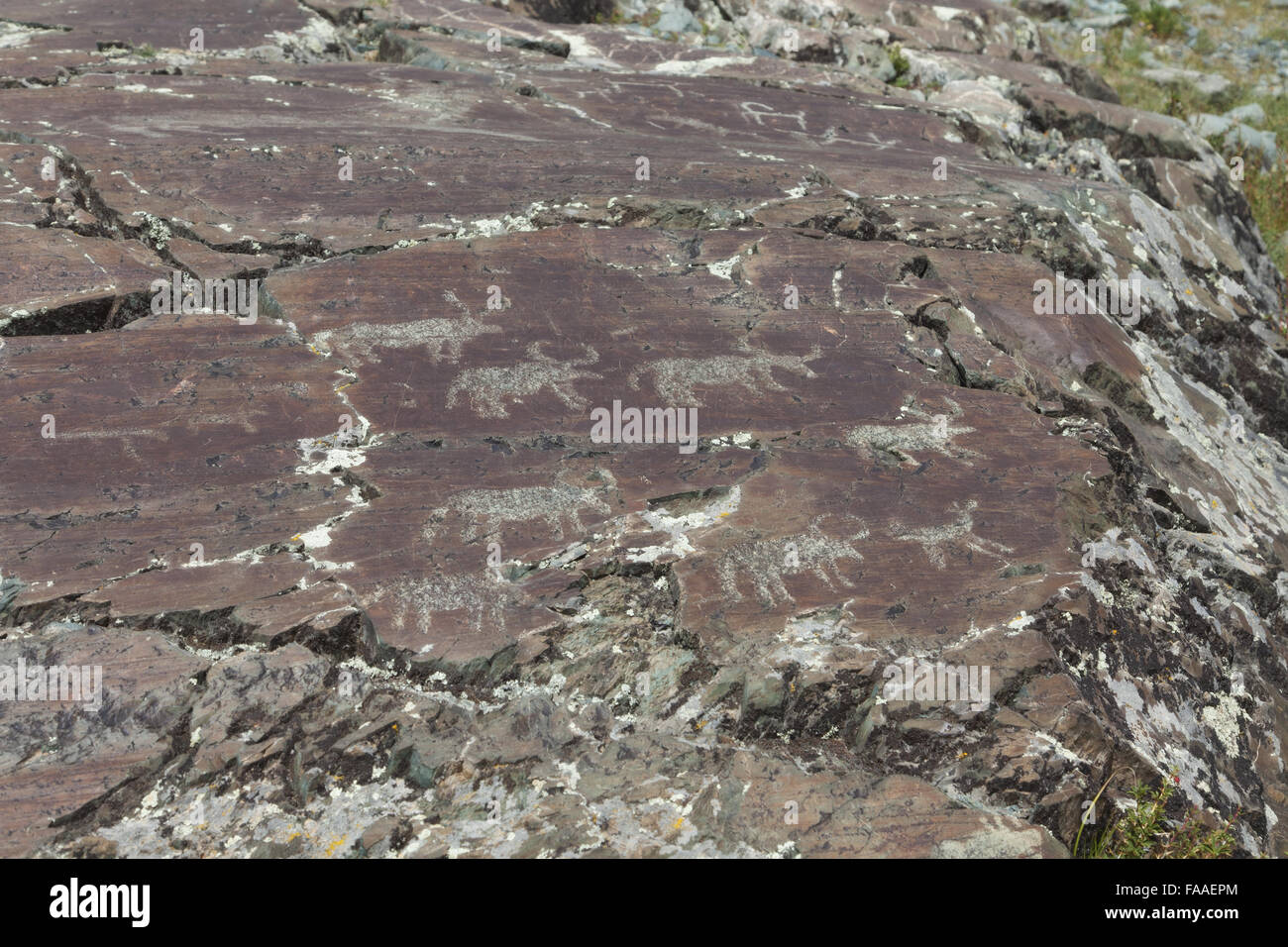 Rock paintings from the Bronze Age Stock Photo - Alamy