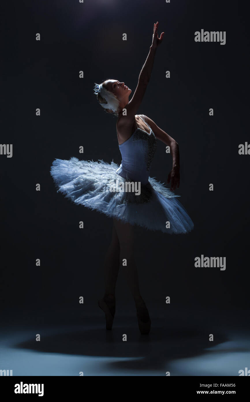 Portrait of the ballerina in ballet tatu on dack background Stock Photo