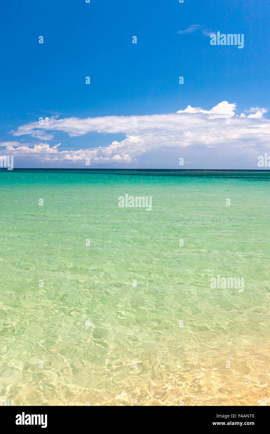 Beach on tropical island. Clear blue water and sky Stock Photo - Alamy