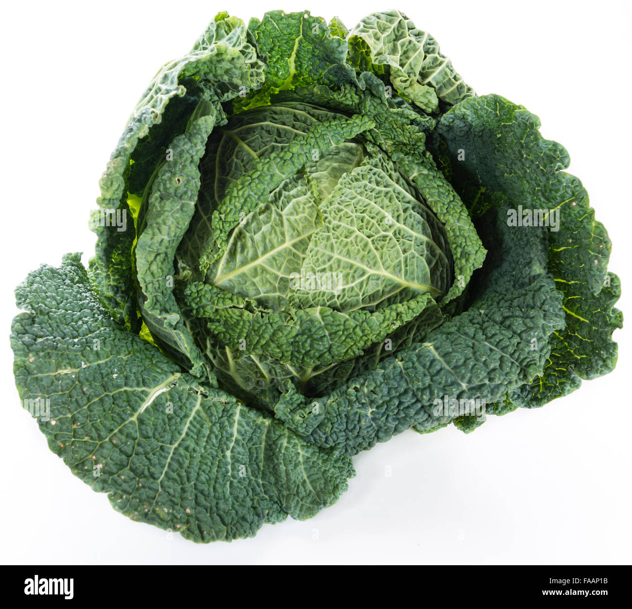 Savoy Cabbage (close-up shot) isolated on white background Stock Photo ...