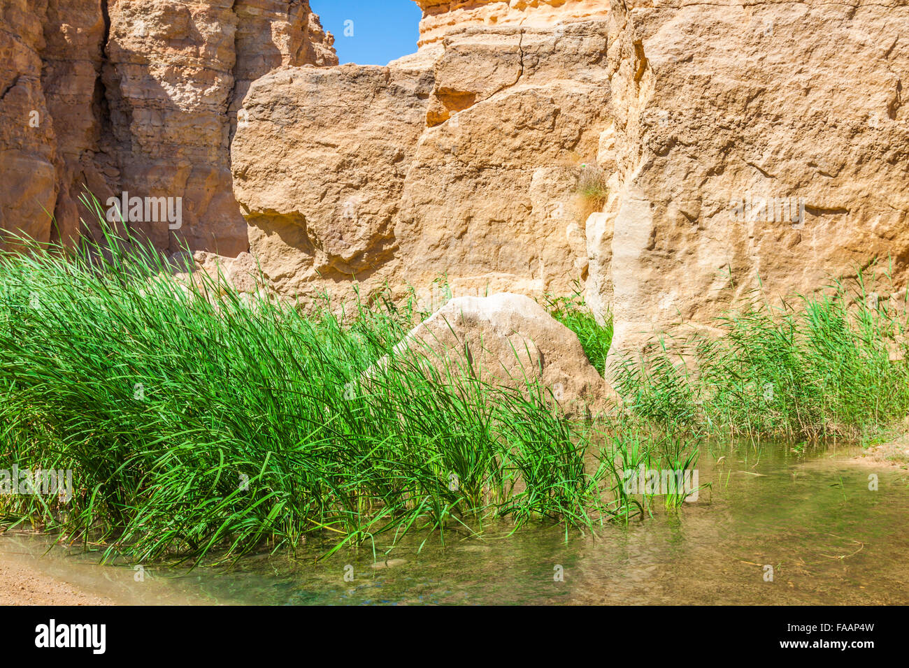 Famous Mountain oasis Chebika in Tunisia, Northern Africa Stock Photo ...