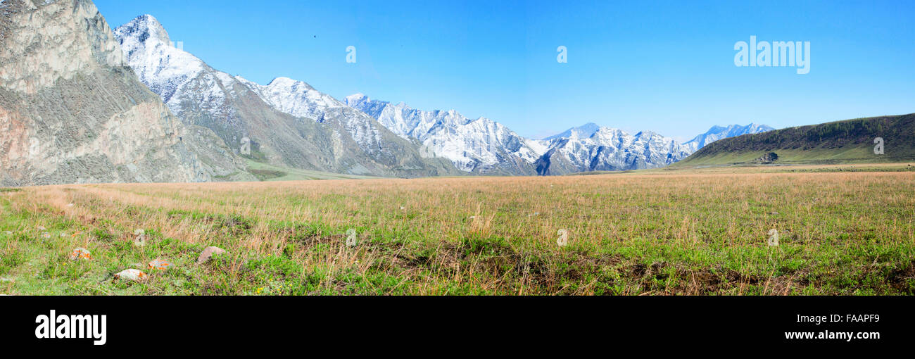 spring mountain meadow high in the mountains Stock Photo - Alamy