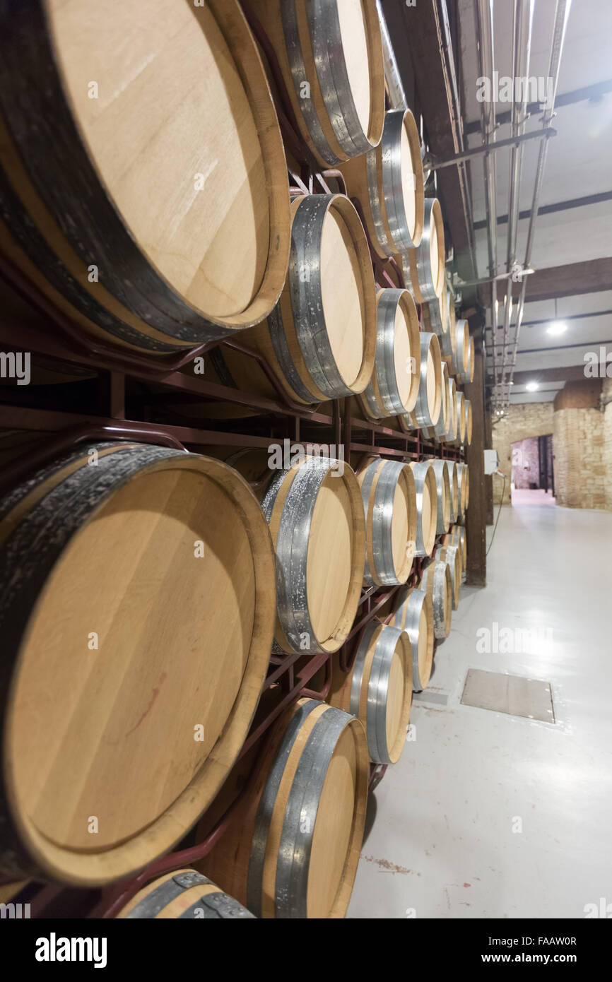 barrels in rows at contemporary wine factory Stock Photo - Alamy