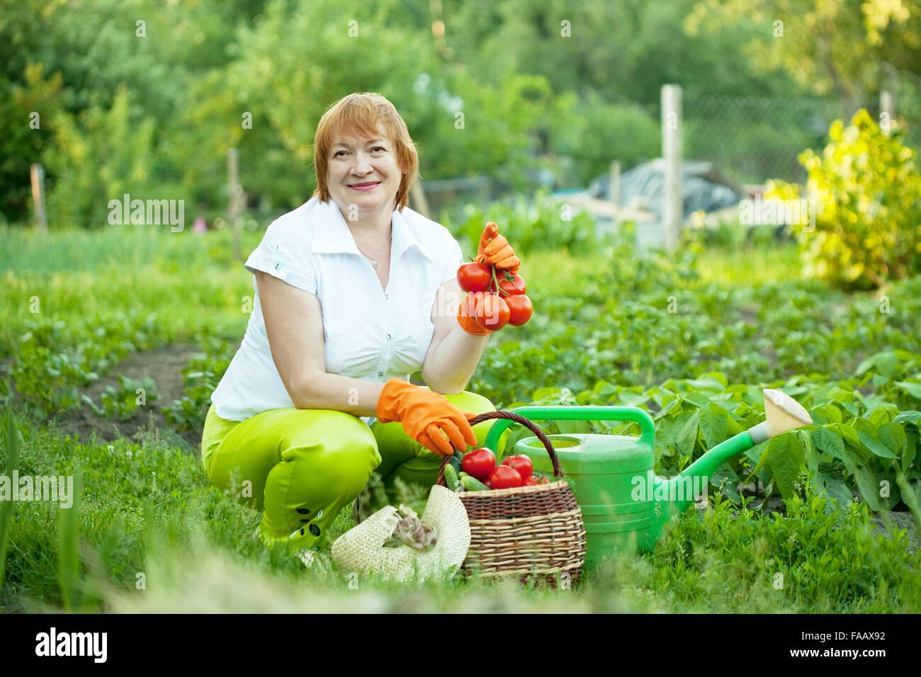 Happy mature woman in vegetables garden Stock Photo - Alamy