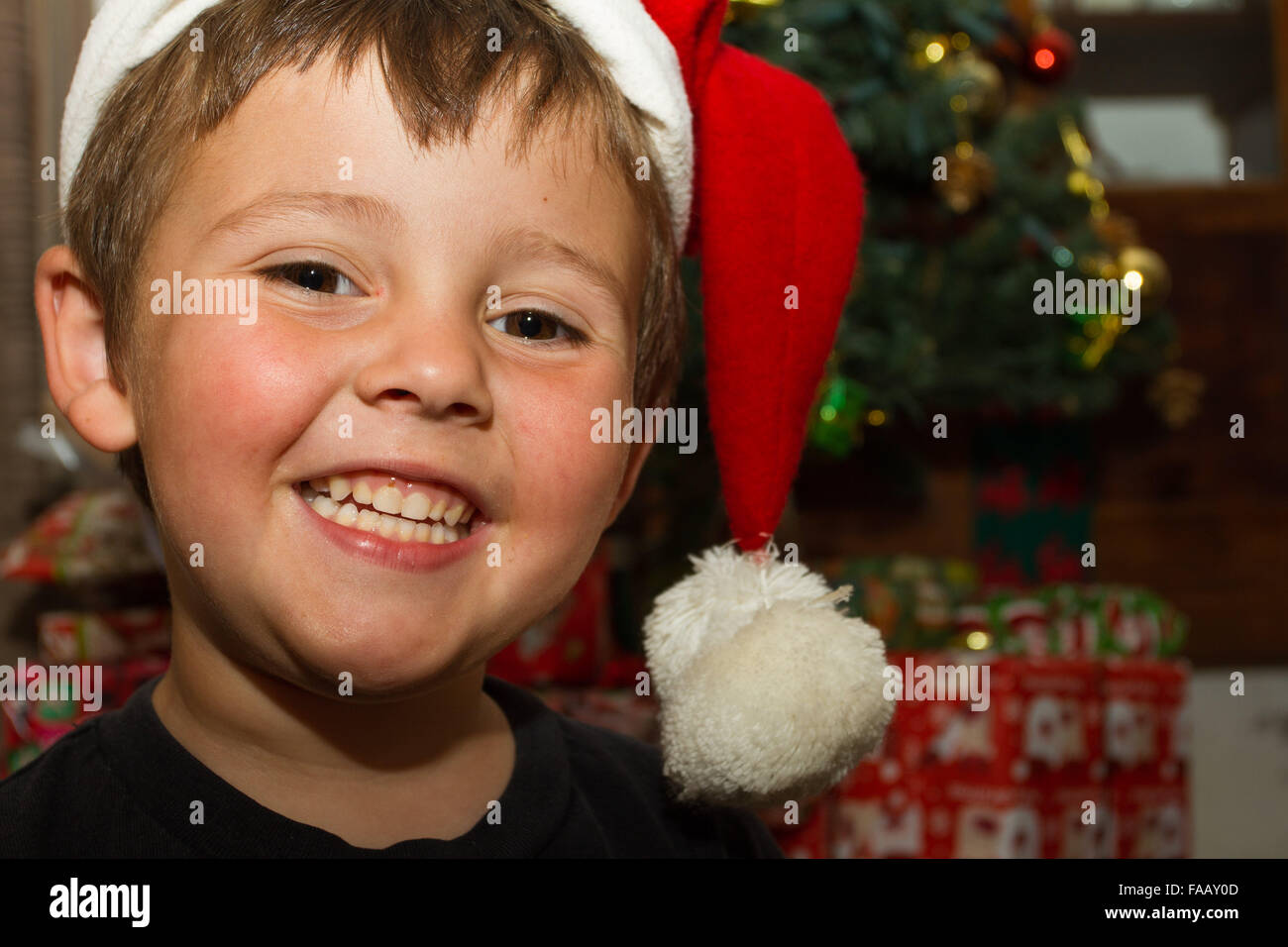 Happy boy in front of Christmas tree with Santa hat. Stock Photo